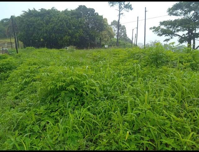 686M² VACANT LAND FOR SALE IN ZAMOKUHLE